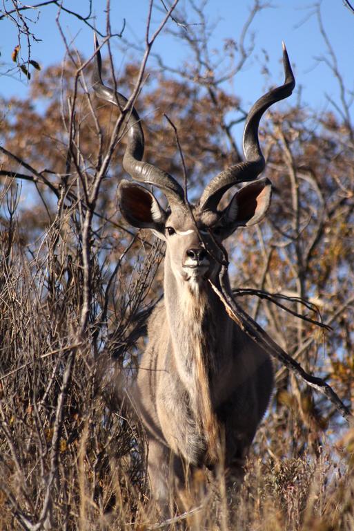 Ouklip Game Lodge Klipdrift エクステリア 写真