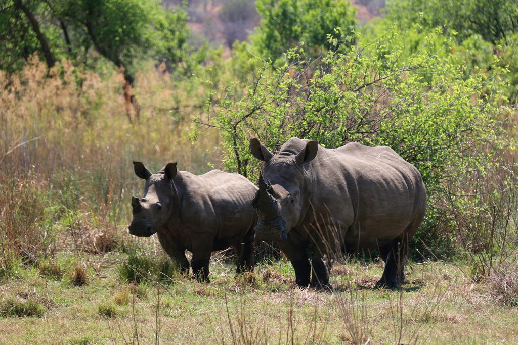 Ouklip Game Lodge Klipdrift エクステリア 写真