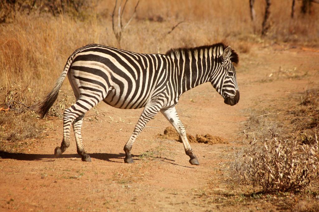 Ouklip Game Lodge Klipdrift エクステリア 写真