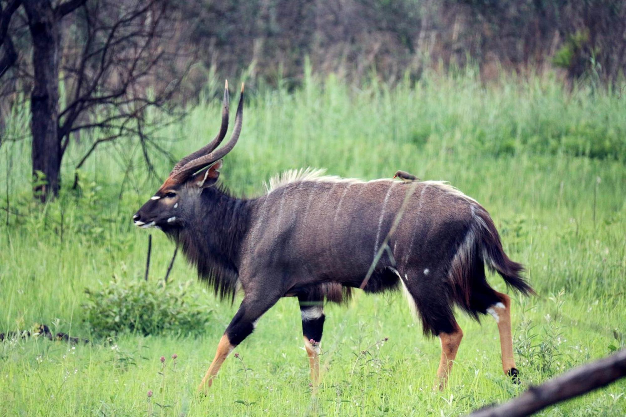 Ouklip Game Lodge Klipdrift エクステリア 写真